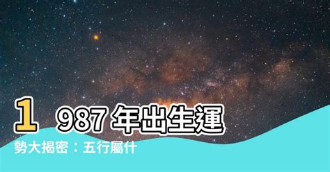 1987年五行屬什麼|1987年出生：31歲屬兔人的後半生，不要再躲了，認命吧！